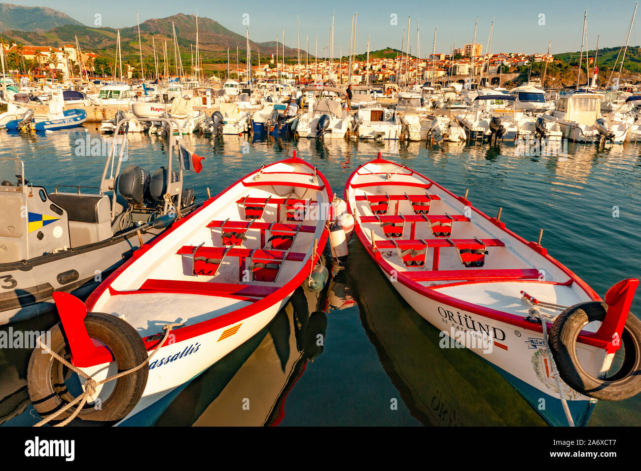 Tradizionale catalana barche da pesca nel porto di Banyuls, Côte Vermeille, Francia Foto Stock