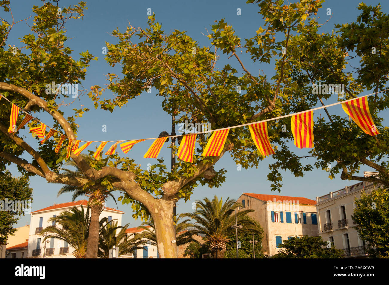 Il lungomare di Banyuls che mostra il patriottismo da sventolare la bandiera catalana, Côte Vermeille, Francia Foto Stock