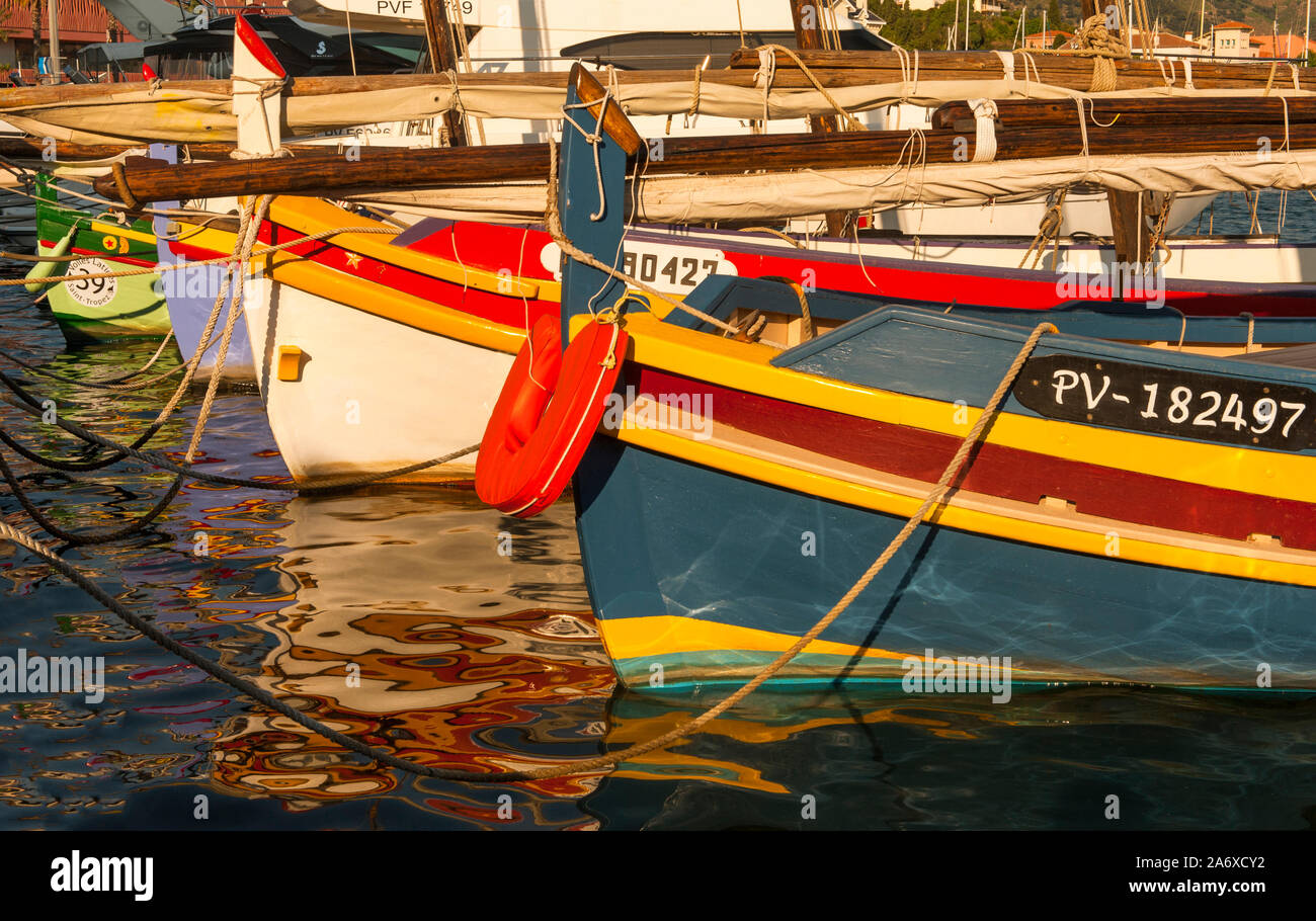 Classic Catalan barche da pesca ormeggiate al Banyuls, Côte Vermeille, Francia Foto Stock