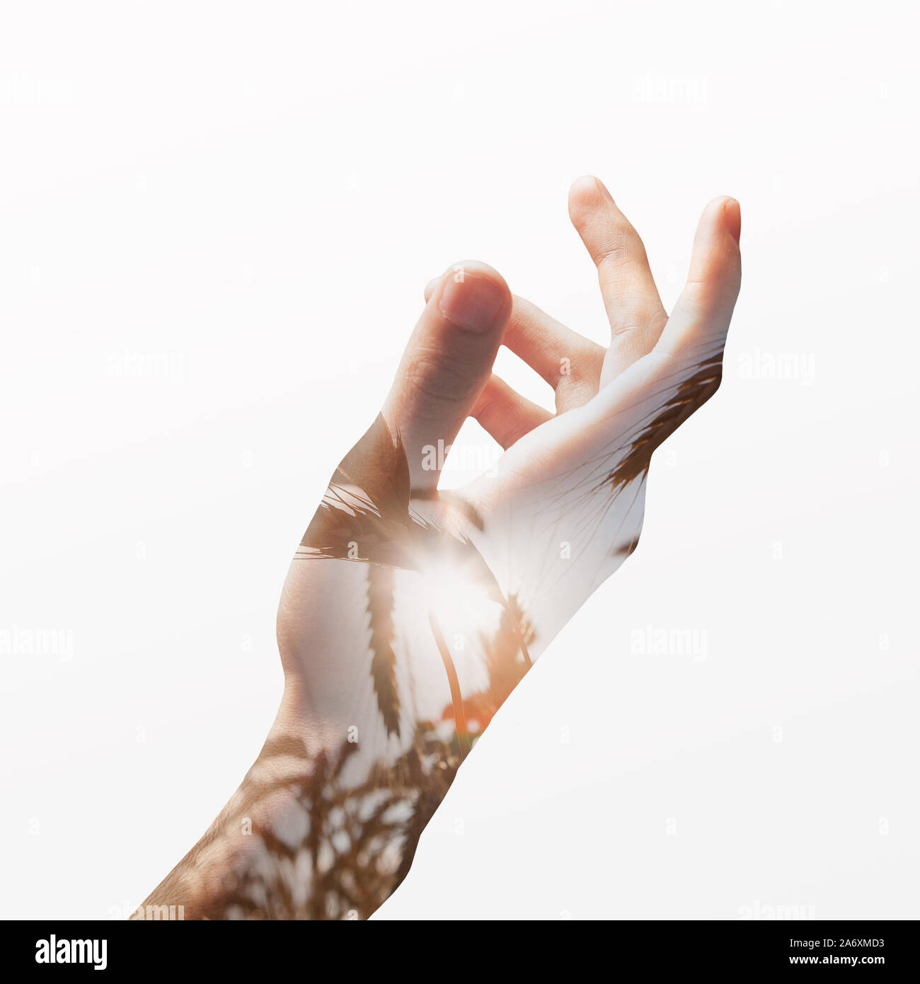 Immagine concettuale dei maschi di mano con doppia esposizione effetti Foto Stock