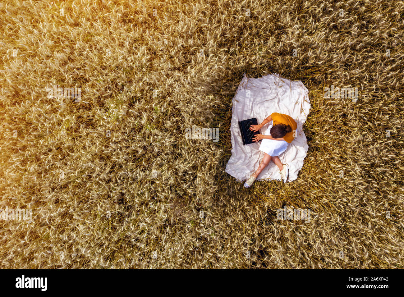 Ragazza con notebook in natura nel campo Foto Stock