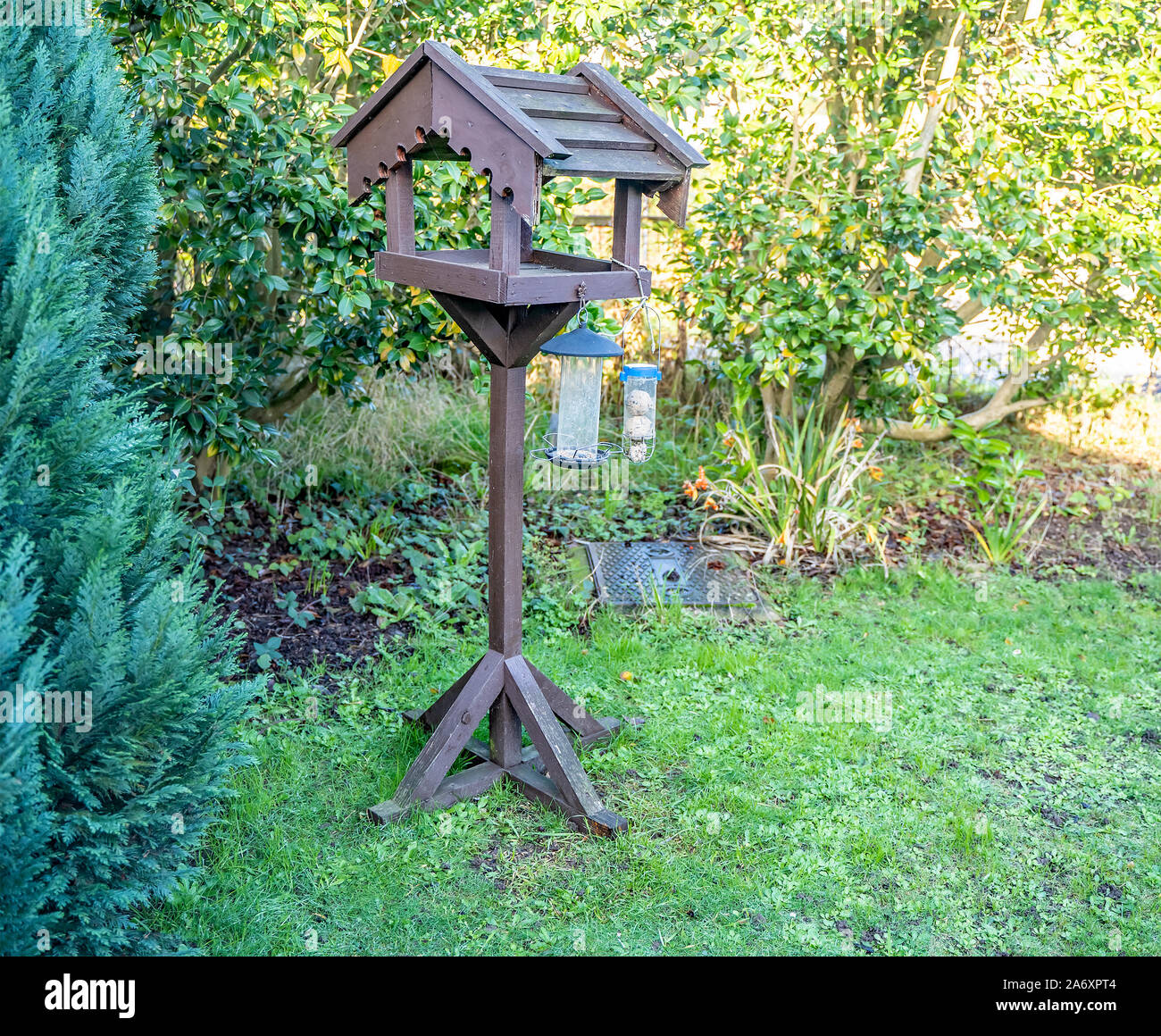 Legno bird tabella con fuori fuoco gli alberi e i cespugli in background Foto Stock