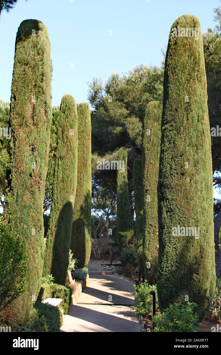 Giardini del Grand-Hotel du Cap-Ferrat, Cap Ferrat, Costa Azzurra Foto Stock