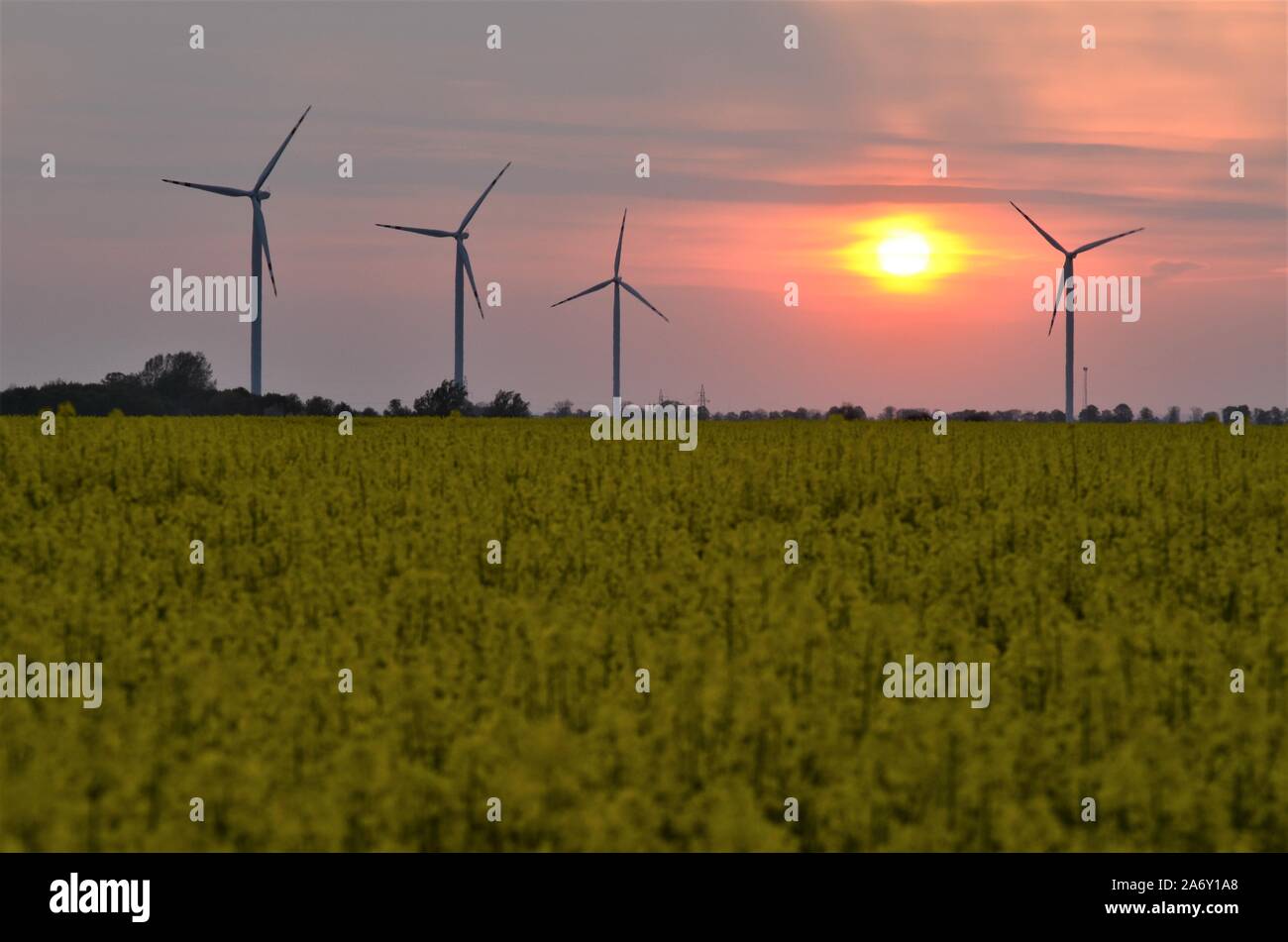 Le turbine eoliche in sunset Foto Stock