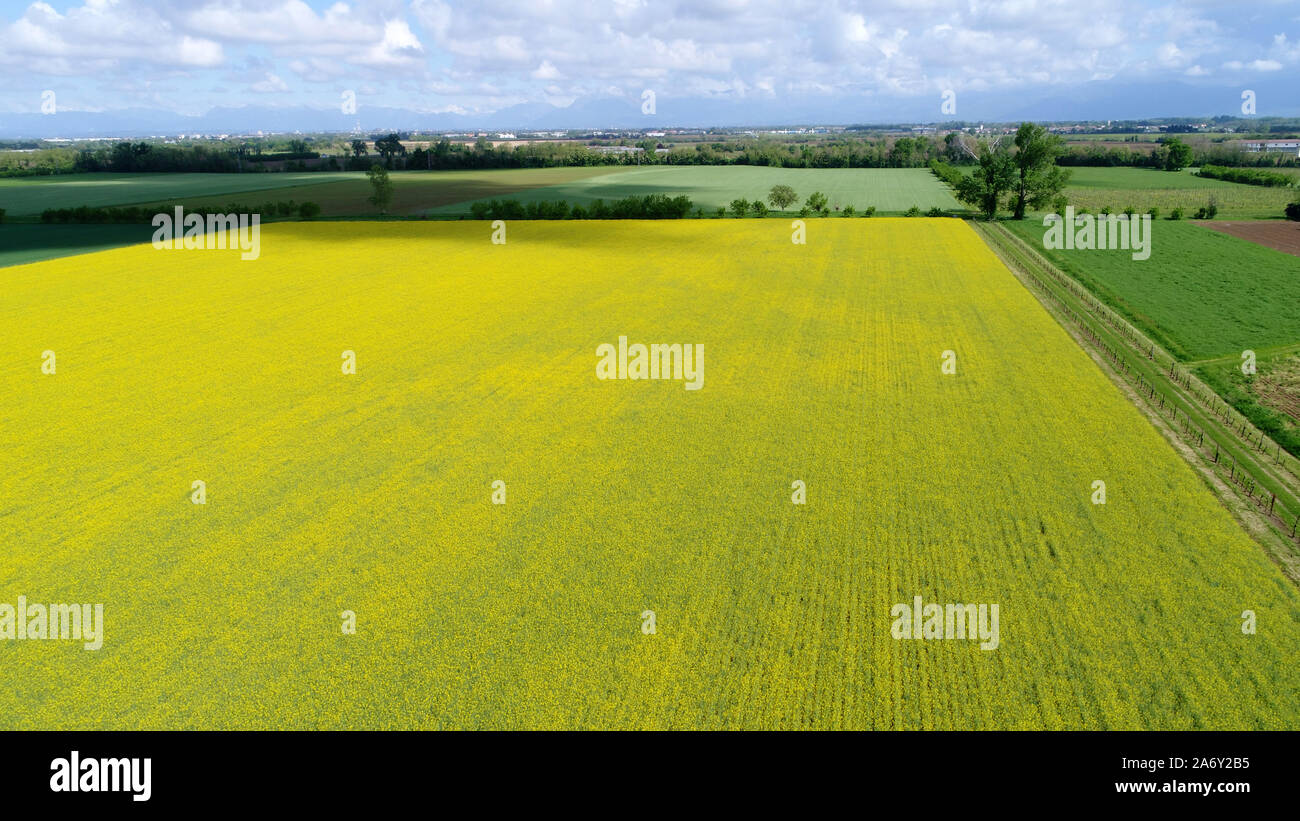 L'Italia, campagna nella regione Friuli Venezia Giulia Foto Stock L'Italia, campagna nella regione Friuli Venezia Giulia Foto Stock