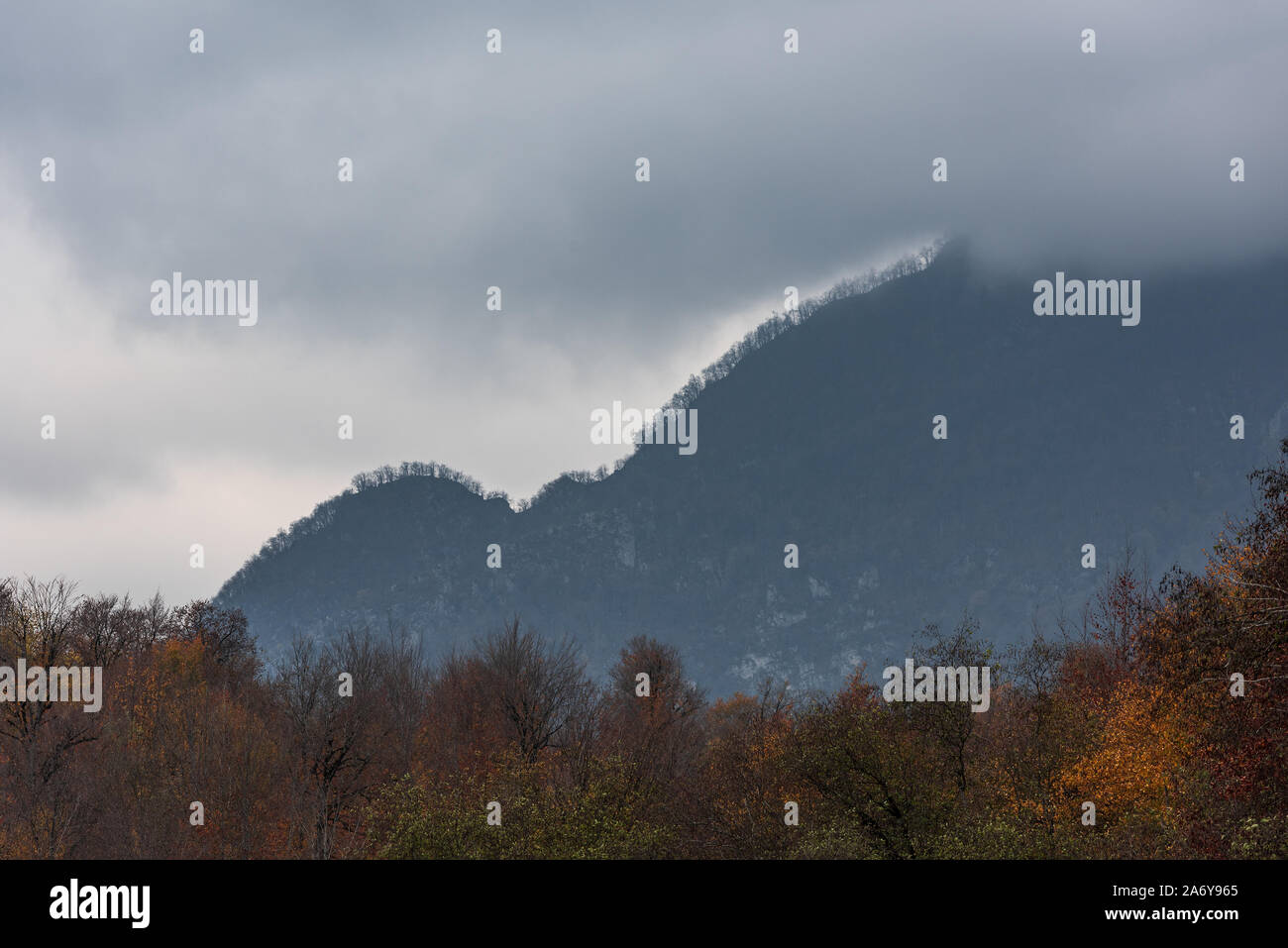Colori d'autunno di foreste di montagna in nuvoloso meteo Foto Stock