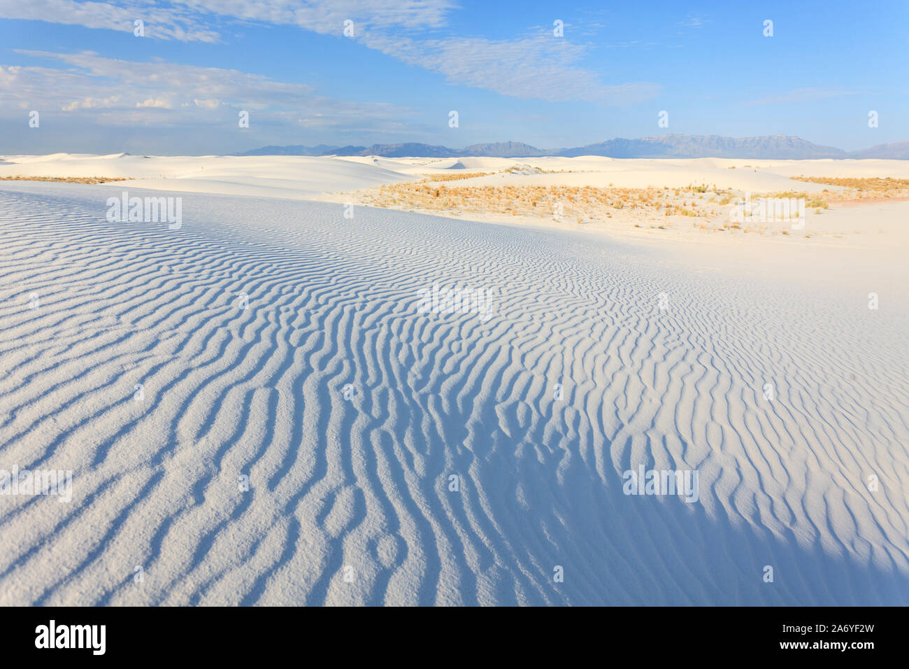 Stati Uniti d'America, Nuovo Messico, White Sands National Monument Foto Stock
