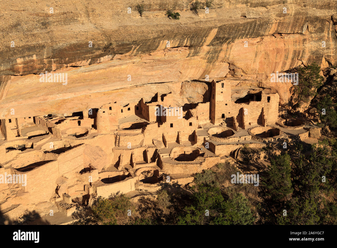 Stati Uniti d'America, Colorado, Mesa Verde National Park (patrimonio UNESCO), Cliff Palace abitazioni Foto Stock