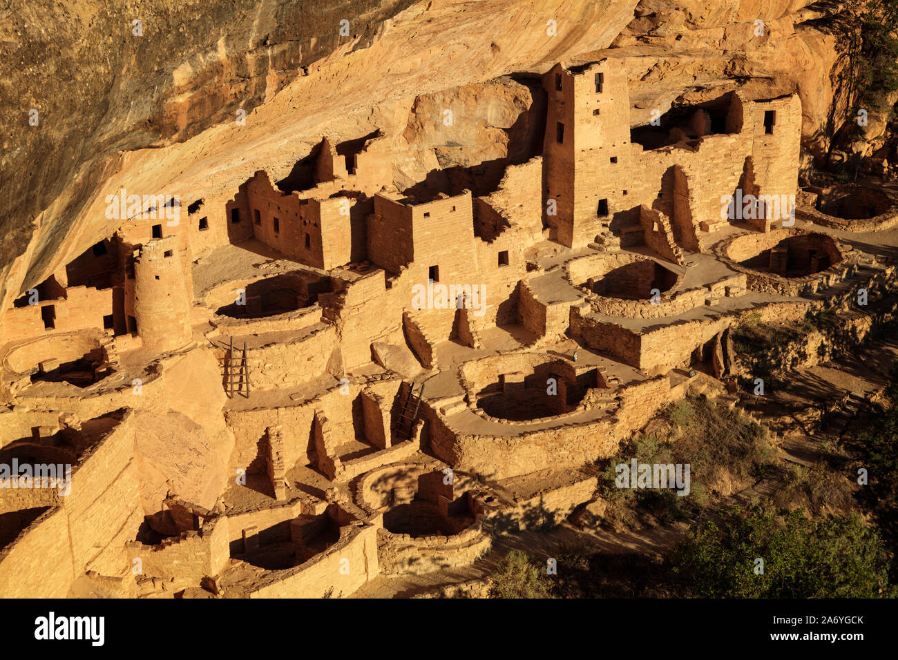 Stati Uniti d'America, Colorado, Mesa Verde National Park (patrimonio UNESCO), Cliff Palace abitazioni Foto Stock