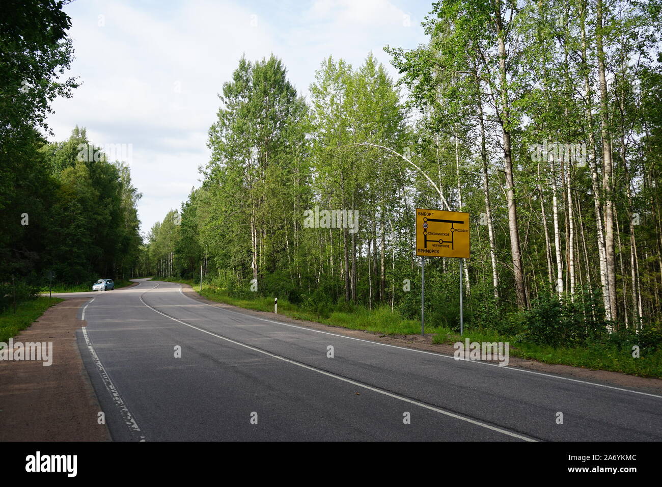 Landstraße durch Birkenwald nahe Sankt Petersburg, Nordwestrussland, Russland Foto Stock