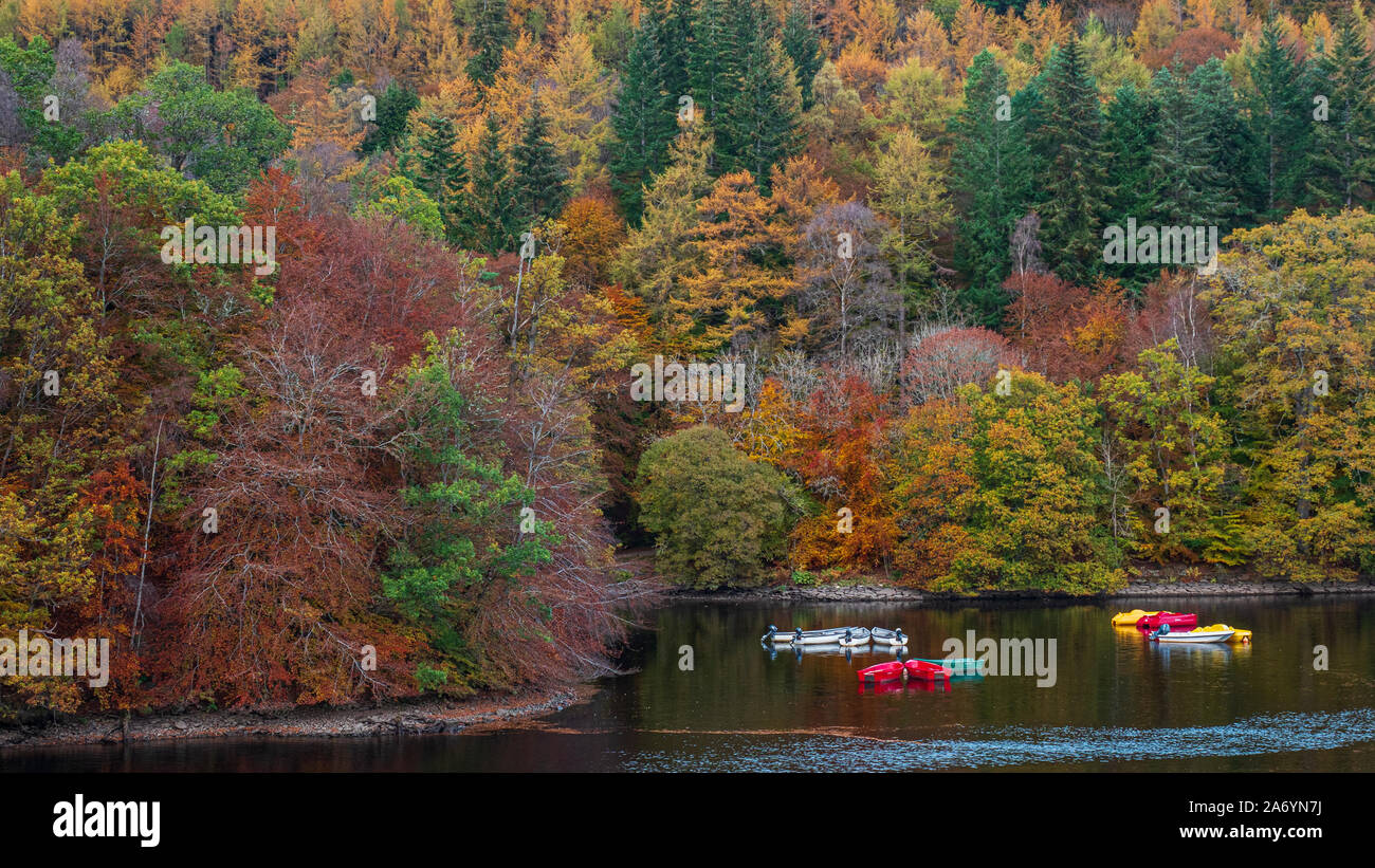 I colori autunnali tra gli alberi e le piccole barche a remi su Loch Faskally a Pitlochry nelle Highlands della Scozia Foto Stock