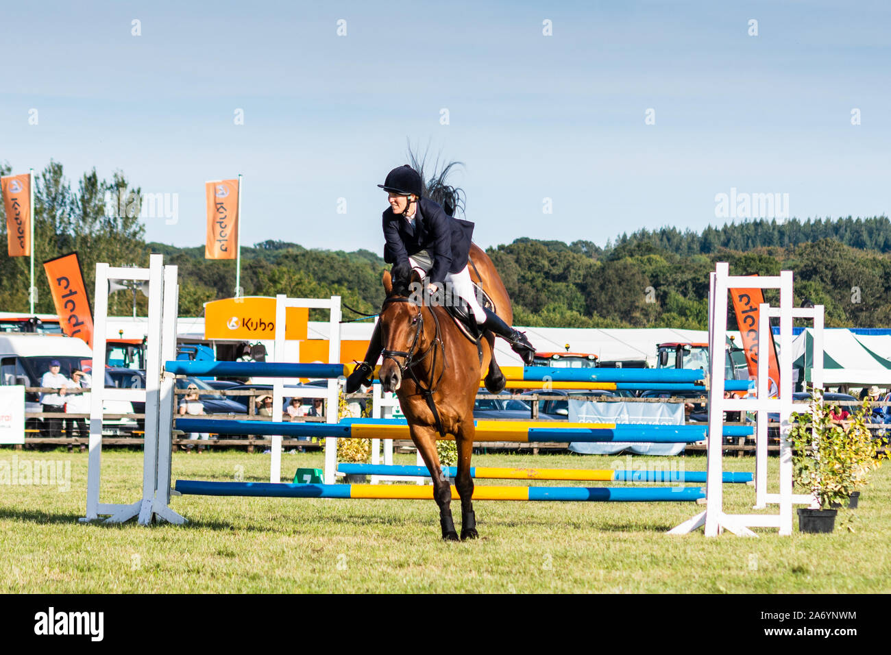 Una vista frontale di un cavallo bay sbarco dopo la cancellazione di un salto in una classe showjumping a Frome Cheese show 14 Settembre 2019 Foto Stock