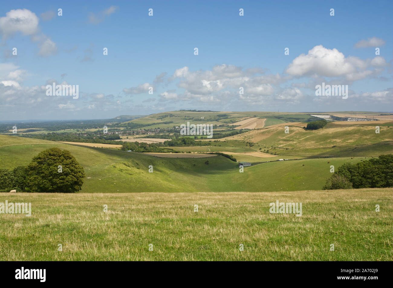 Il South Downs tra Shoreham e Steyning in West Sussex, in Inghilterra. Vista in Steyning ciotola. Foto Stock