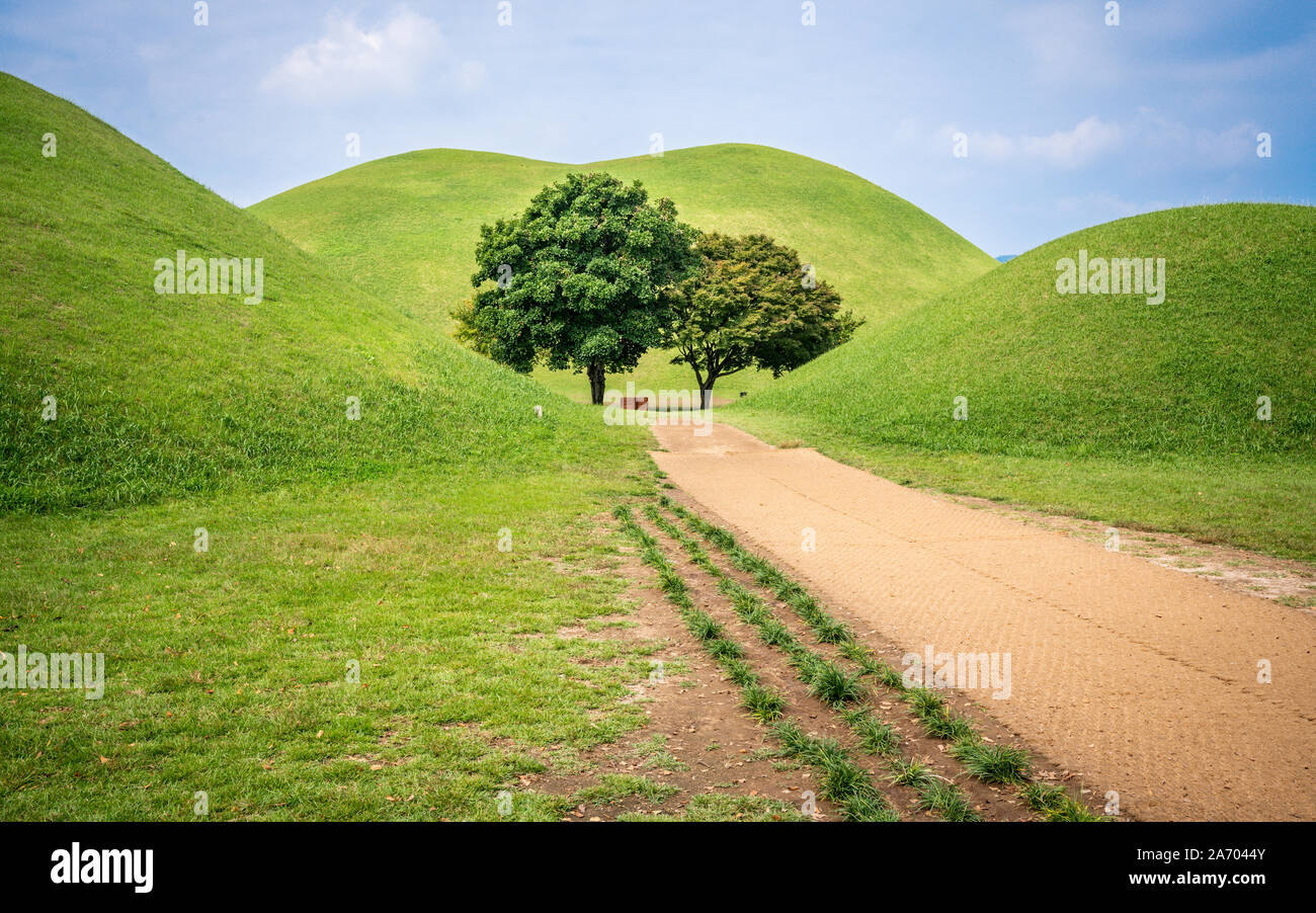 Tumuli park o tomba Daereungwon complesso vista panoramico con numerosi tumuli e alberi verdi in mezzo di Gyeongju Corea del Sud Foto Stock