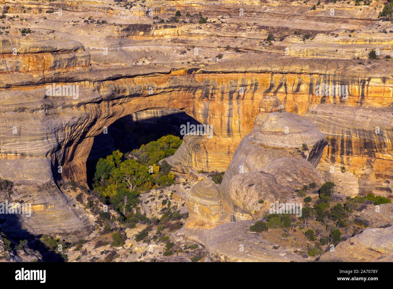 Sipapu Bridge in ponti naturali Monumento Nazionale in Utah. Foto Stock