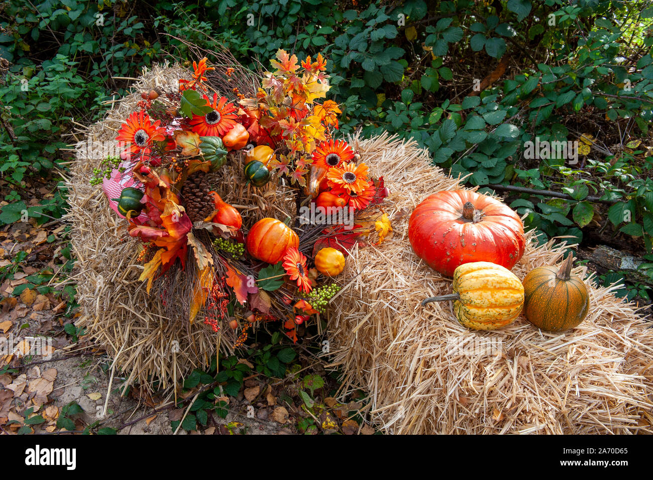 Zucche e una caduta di decorazione su una balla di fieno. Foto Stock