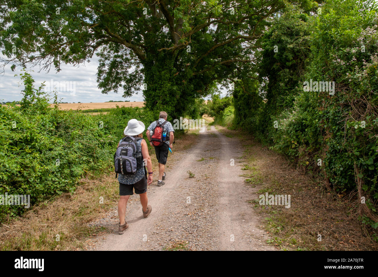 Due escursionisti a piedi lungo South Downs modo in campagna vicino a Winchester in Hampshire, Inghilterra. Foto Stock