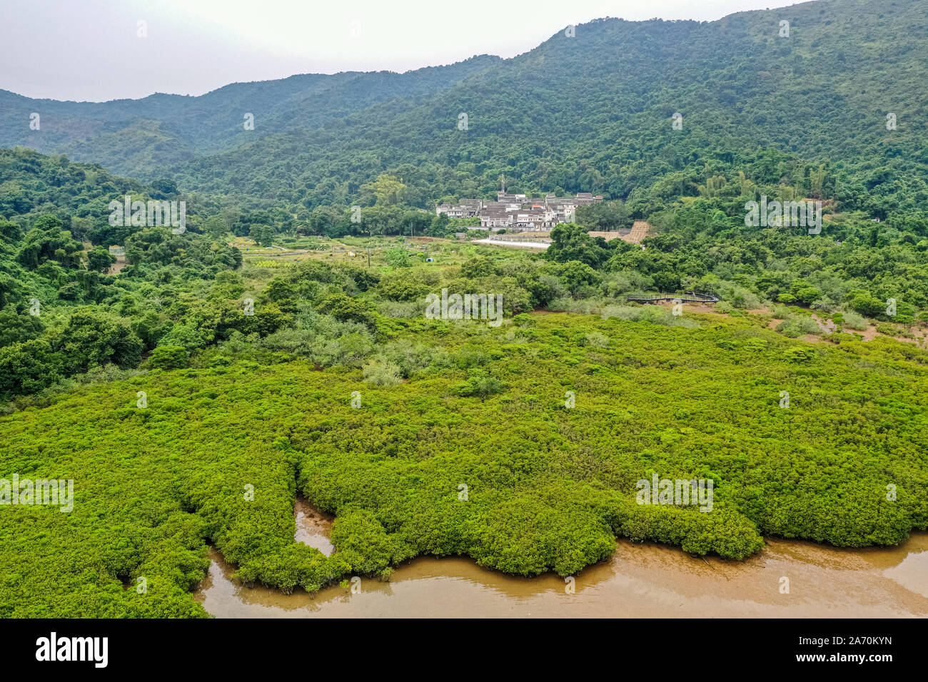Le mangrovie e il mare a Hong Kong Foto Stock