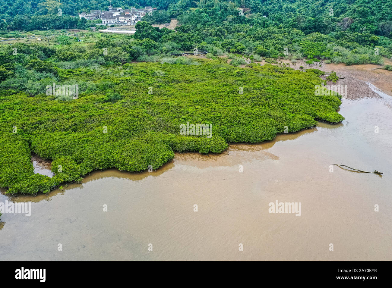 Le mangrovie e il mare a Hong Kong Foto Stock