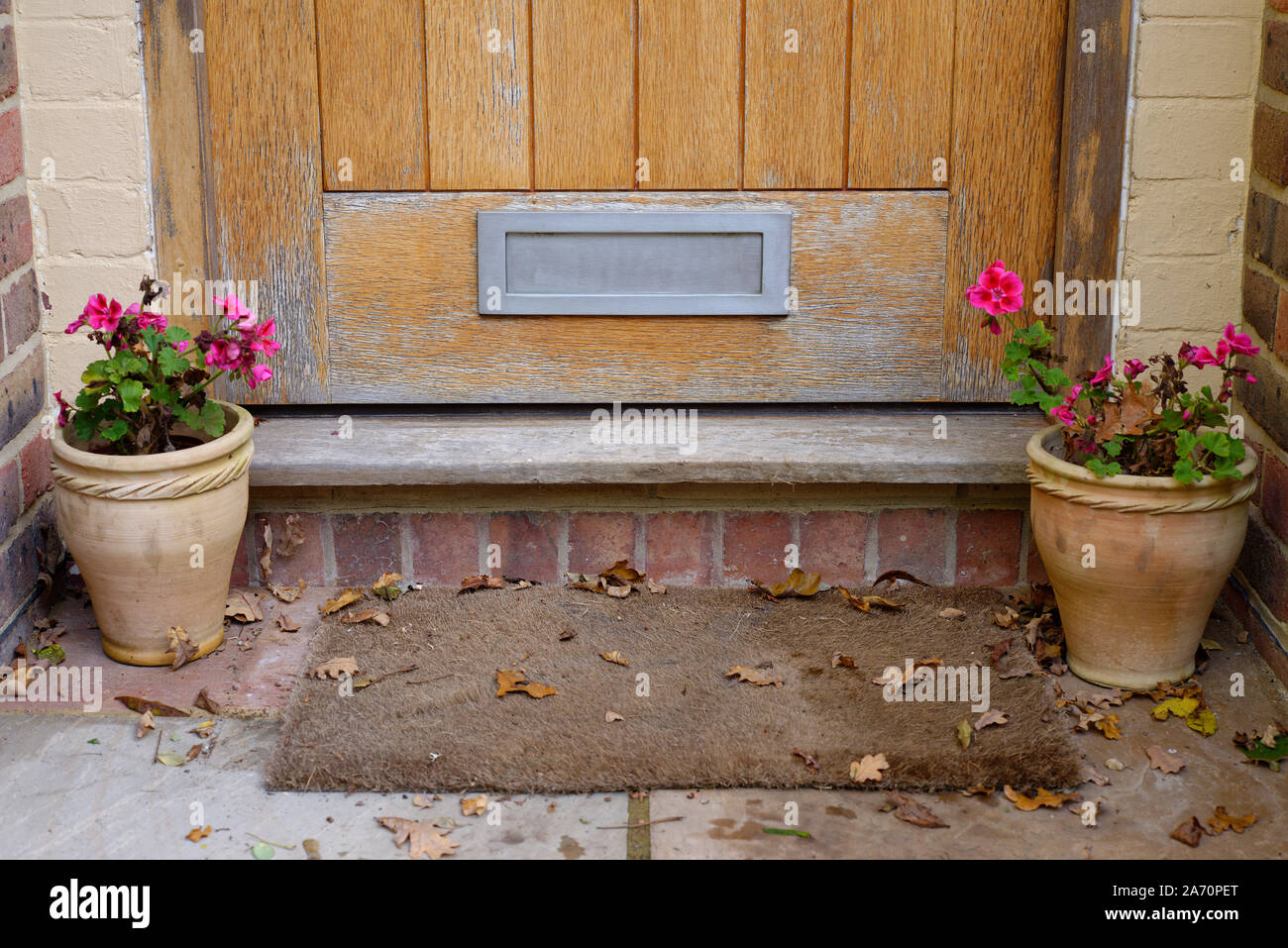 La porta anteriore di una casa con una bassa letterbox, due geranio di piante in vaso e uno zerbino. Foto Stock