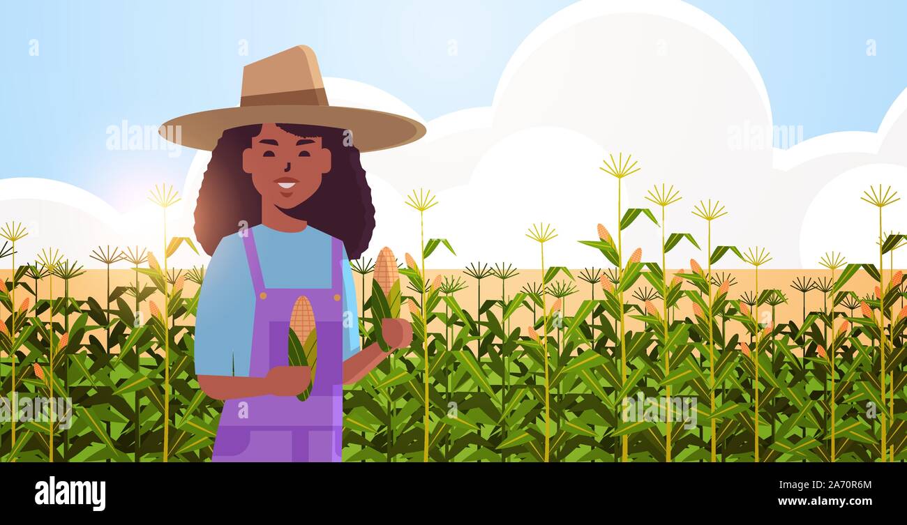 Donna l'agricoltore che detiene di tutoli di mais americano africano countrywoman tute in piedi sul campo di mais da agricoltura biologica agricoltura stagione di mietitura concetto verticale piana orizzontale illustrazione vettoriale Illustrazione Vettoriale