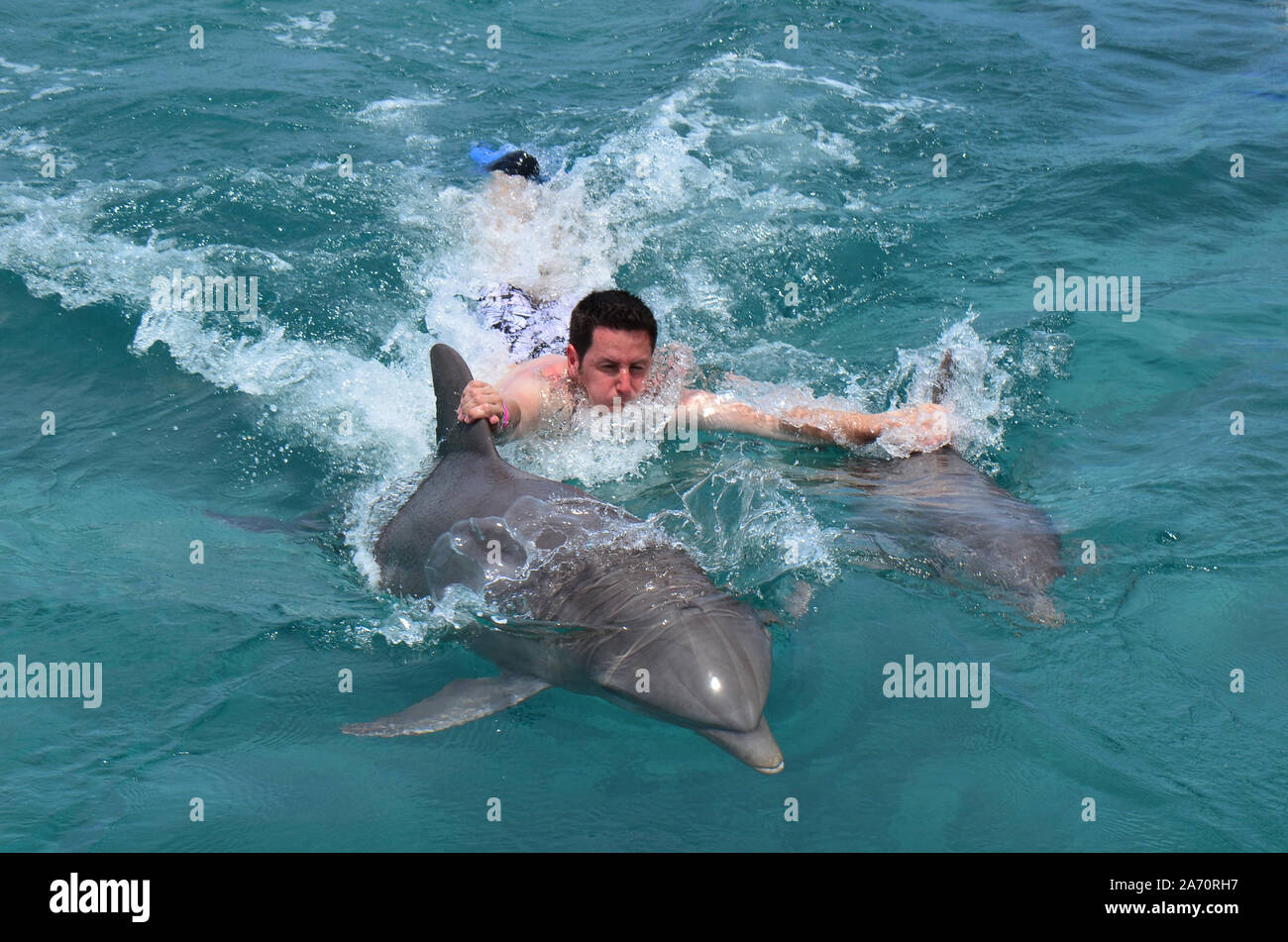 Terapia del delfino in adulti o di esposizione Foto Stock