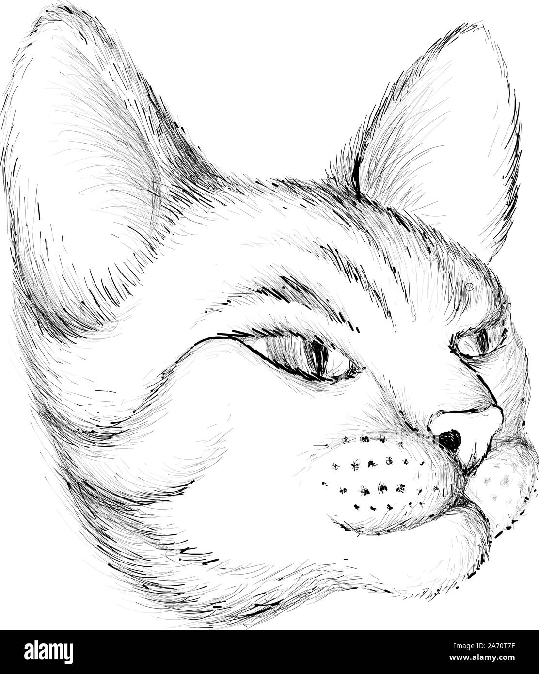 Il logo del vettore di gatto per tatuaggio o T-shirt design o abbigliamento esterno. Carino stile di stampa sfondo cat. Questo disegno sarebbe bello rendere sul tessuto nero Foto Stock