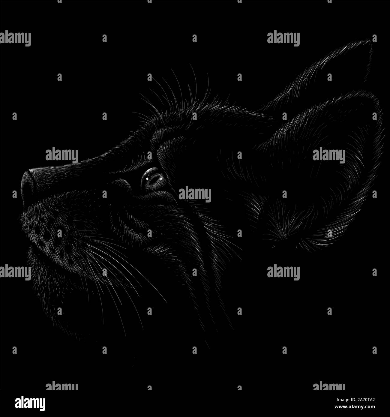 Il logo del vettore di gatto per tatuaggio o T-shirt design o abbigliamento esterno. Carino stile di stampa sfondo cat. Questo disegno sarebbe bello rendere sul tessuto nero Foto Stock