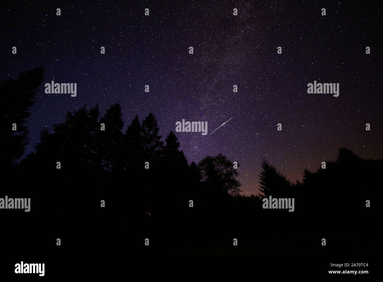 Via lattea e riprese con una silhouette di alberi Foto Stock