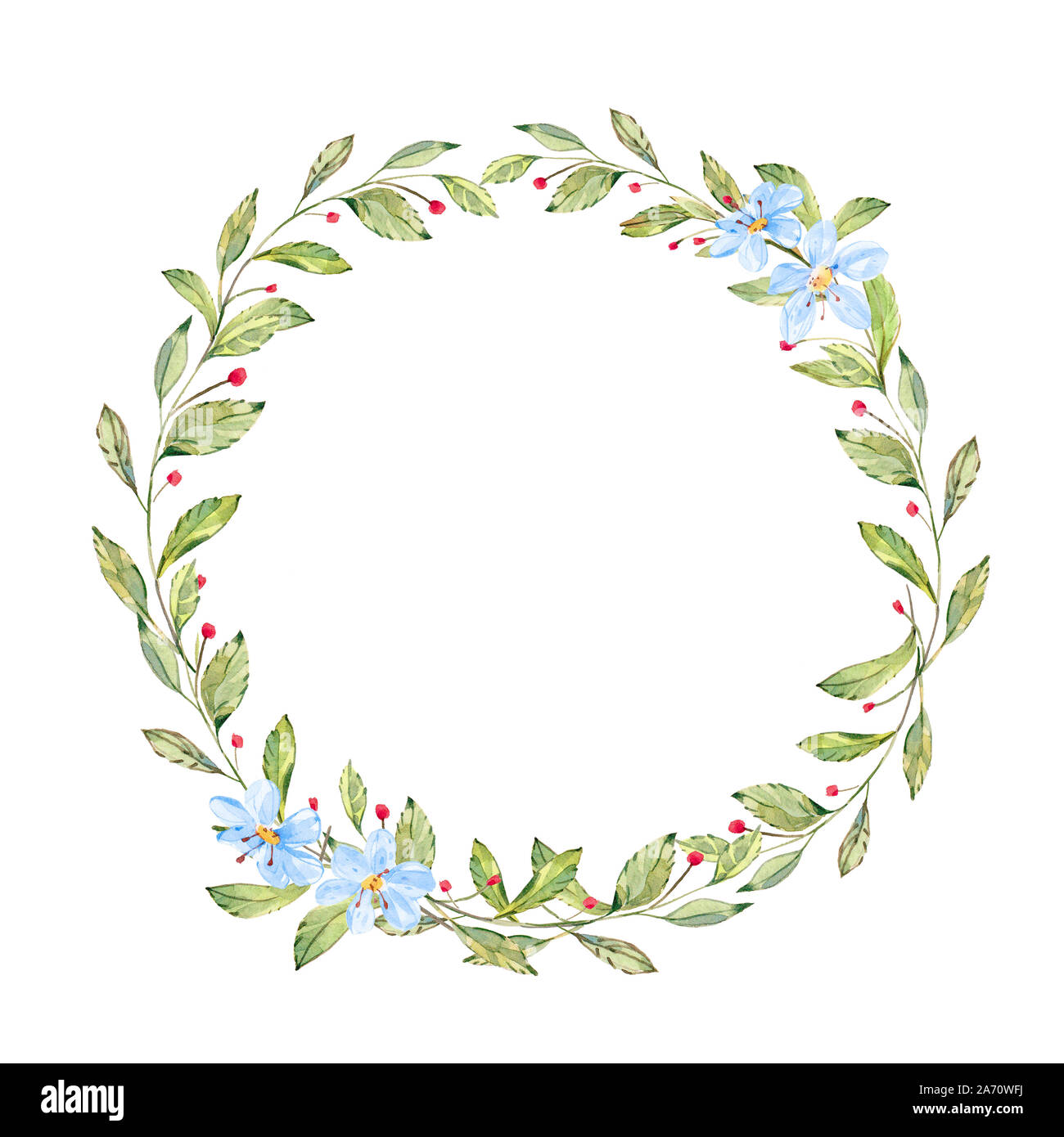 Acquerelli di piante selvatiche, fiori e frutti di bosco corona. Cornice rotonda con fiori, piante, felce e rami. disegnati a mano illustrazione Foto Stock