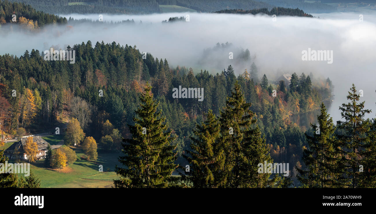 Vista theTitisee nella nebbia di mattina, con colline, Titisee-Neustadt, Foresta Nera, questo Land, Germania Foto Stock
