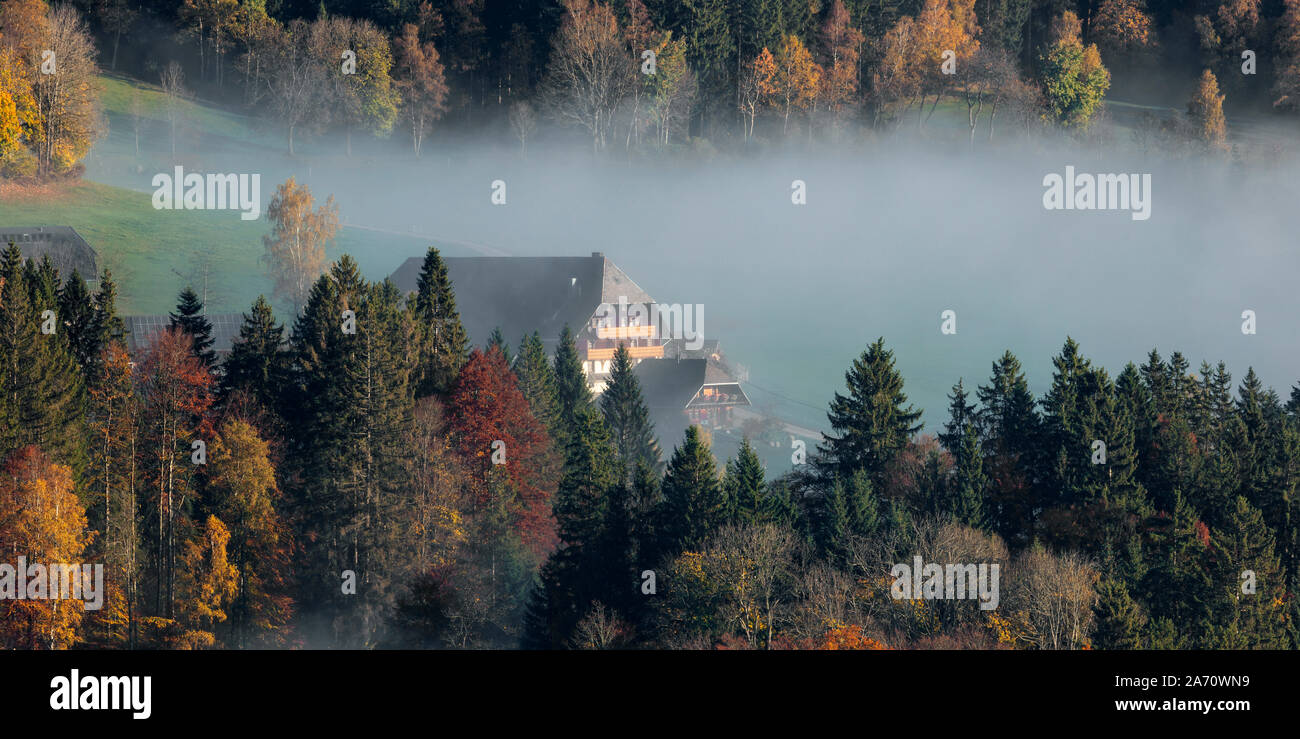 Vista theTitisee nella nebbia di mattina, con colline, Titisee-Neustadt, Foresta Nera, questo Land, Germania Foto Stock