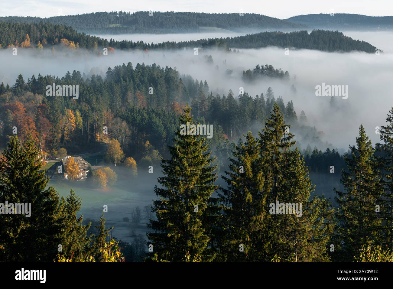 Vista theTitisee nella nebbia di mattina, con colline, Titisee-Neustadt, Foresta Nera, questo Land, Germania Foto Stock