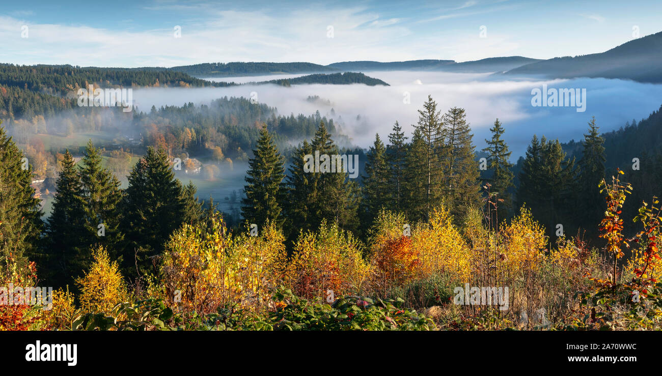 Vista theTitisee nella nebbia di mattina, con colline, Titisee-Neustadt, Foresta Nera, questo Land, Germania Foto Stock
