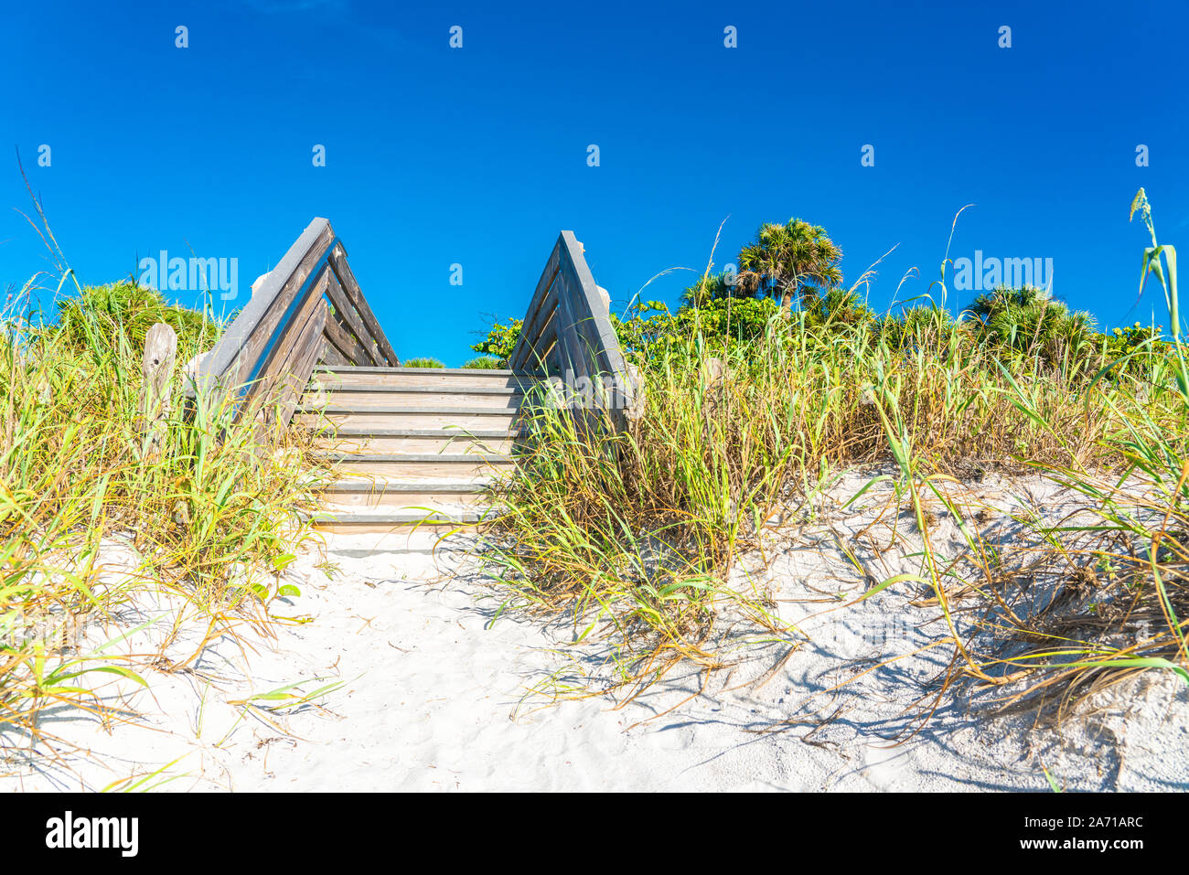 Scale di legno sulla duna di sabbia e di erba in spiaggia in Florida, Stati Uniti d'America Foto Stock