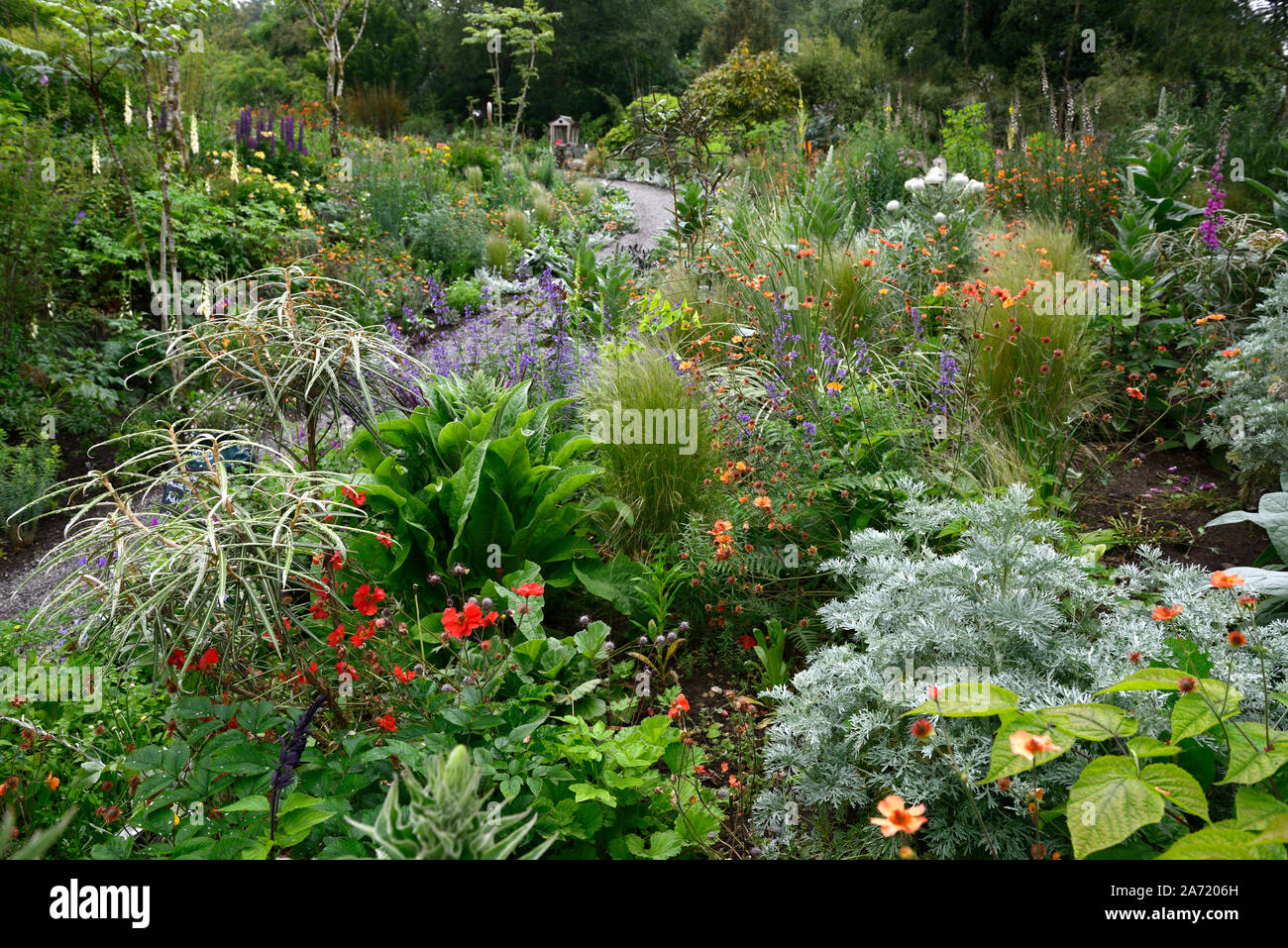 Caccia Brook Gardens,Wicklow,l'Irlanda,Jimi Blake,Plantsman,Giardino,giardino,piantando mescolato regime,gara,perenni Piante perenni,bed,letti,confine,frontiere,mi Foto Stock