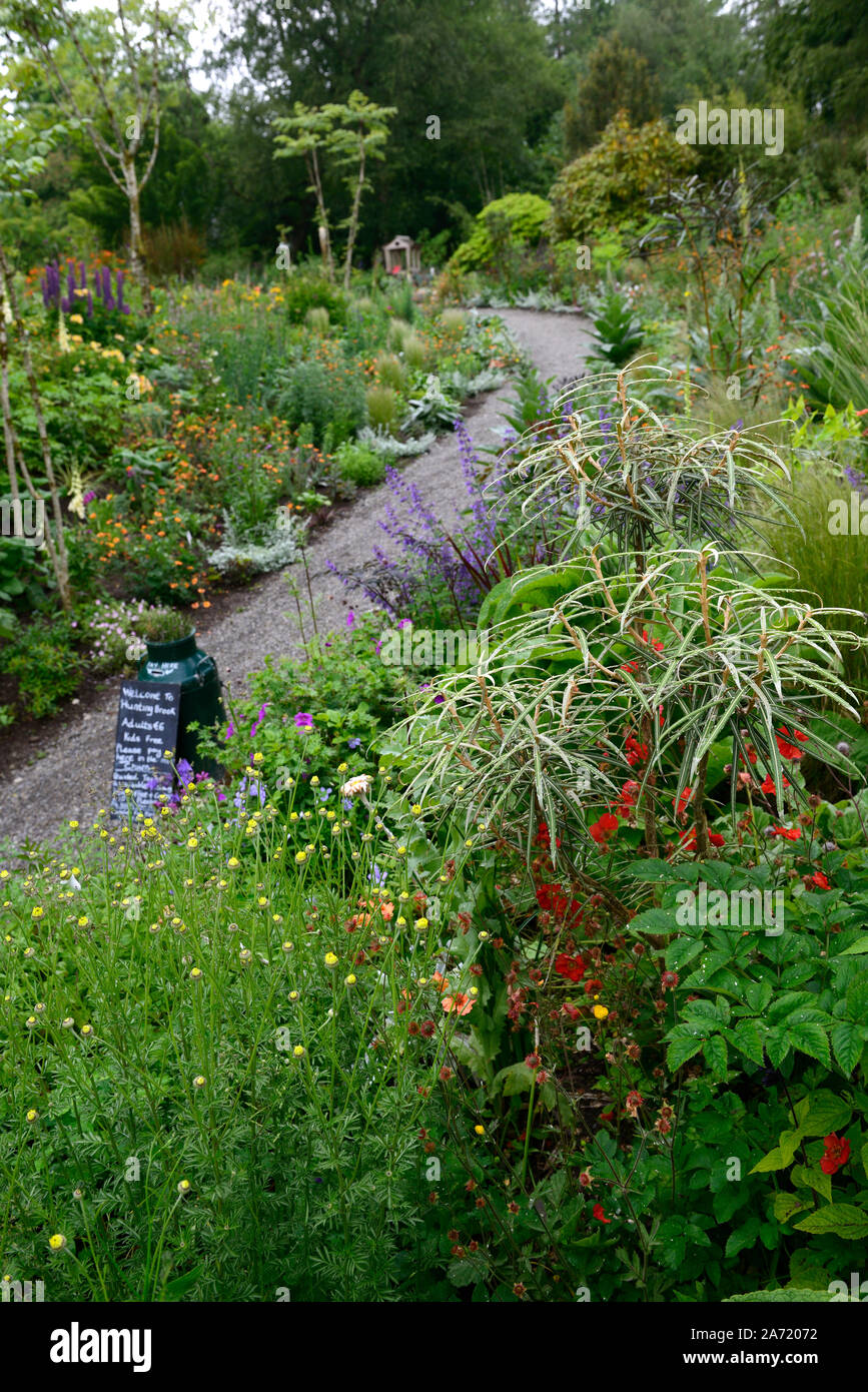 Caccia Brook Gardens,Wicklow,l'Irlanda,Jimi Blake,Plantsman,Giardino,giardino,piantando mescolato regime,gara,perenni Piante perenni,bed,letti,confine,frontiere,mi Foto Stock