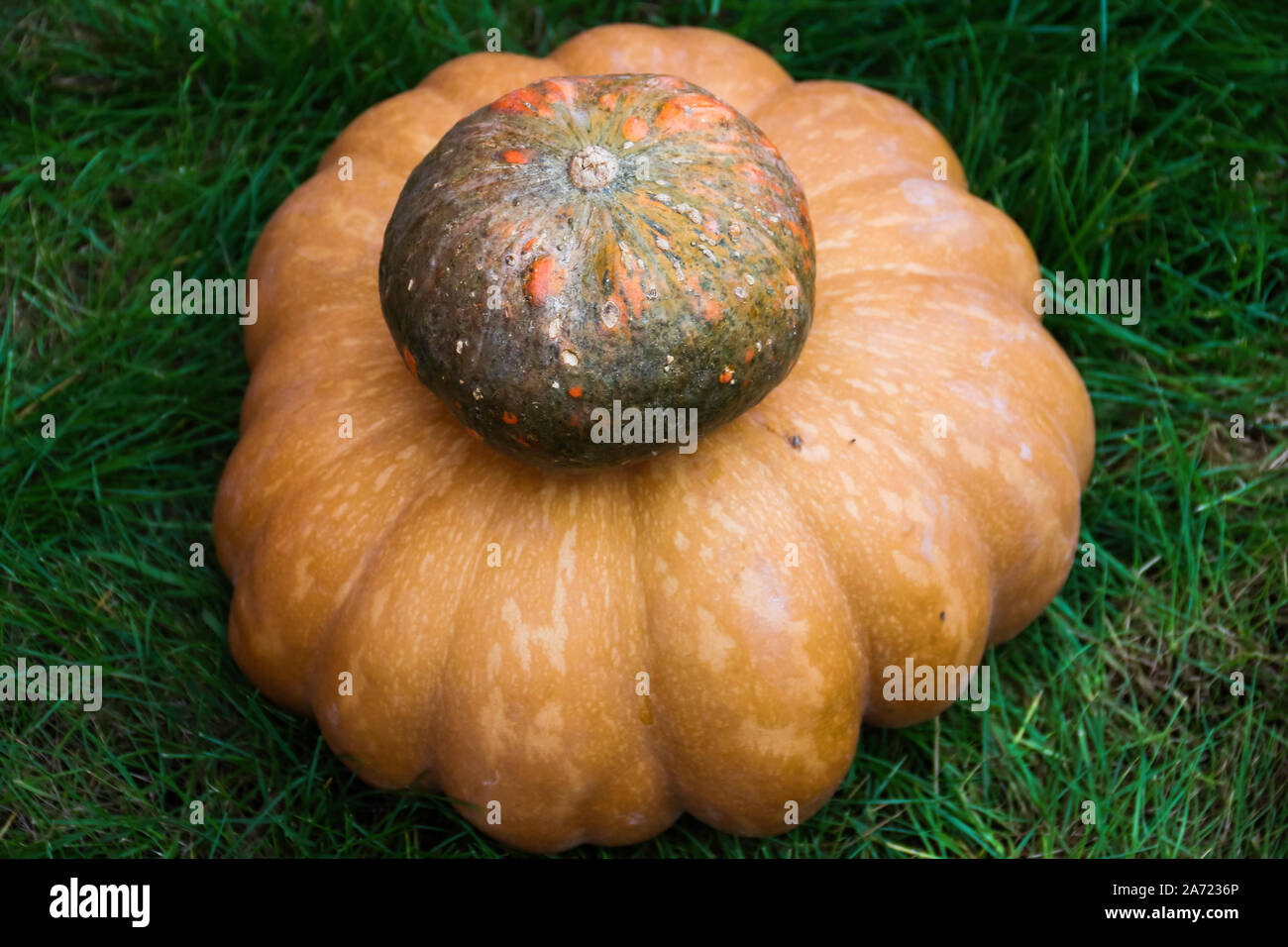 Halloween Chateau d Astros - Route de Lorgues, 83550 VIDAUBAN, Francia - Bambini con facce dipinte, zucche, parco giochi - 2017 Foto Stock