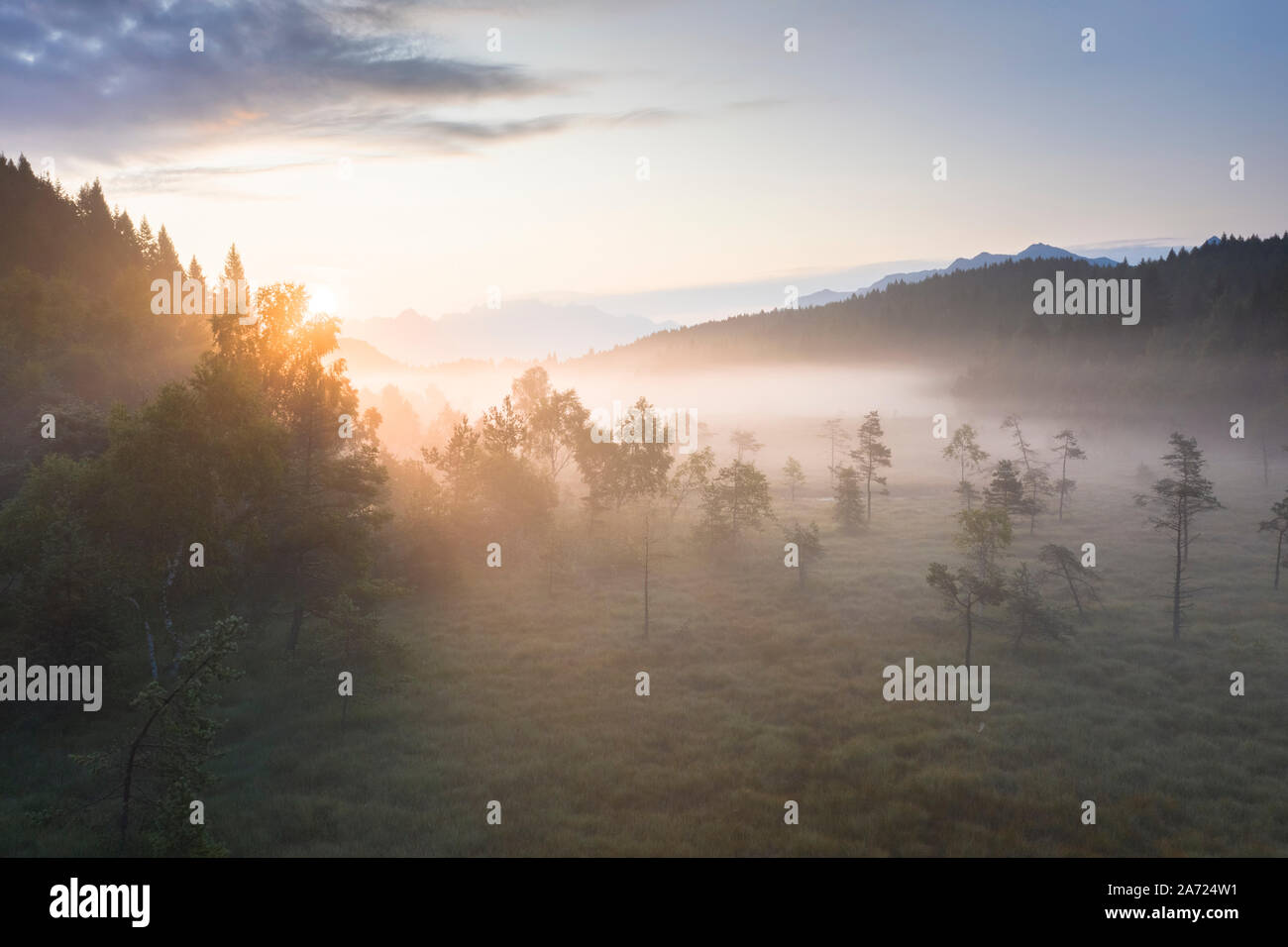 I raggi del sole all'alba nella nebbia che copre la zona umida del Pian di Gembro Riserva Naturale, vista aerea, Aprica, Valtellina, Lombardia, Italia Foto Stock