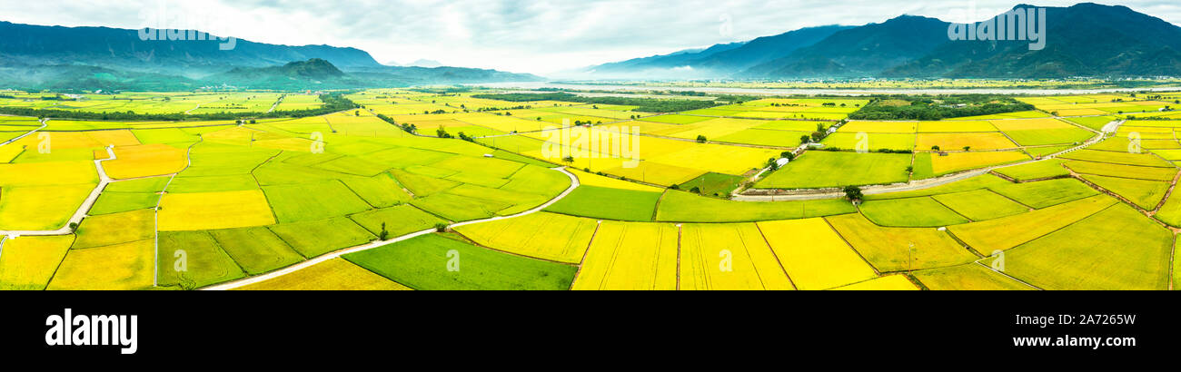 Vista aerea di bellissimi campi di riso in taitung . Taiwan. Foto Stock