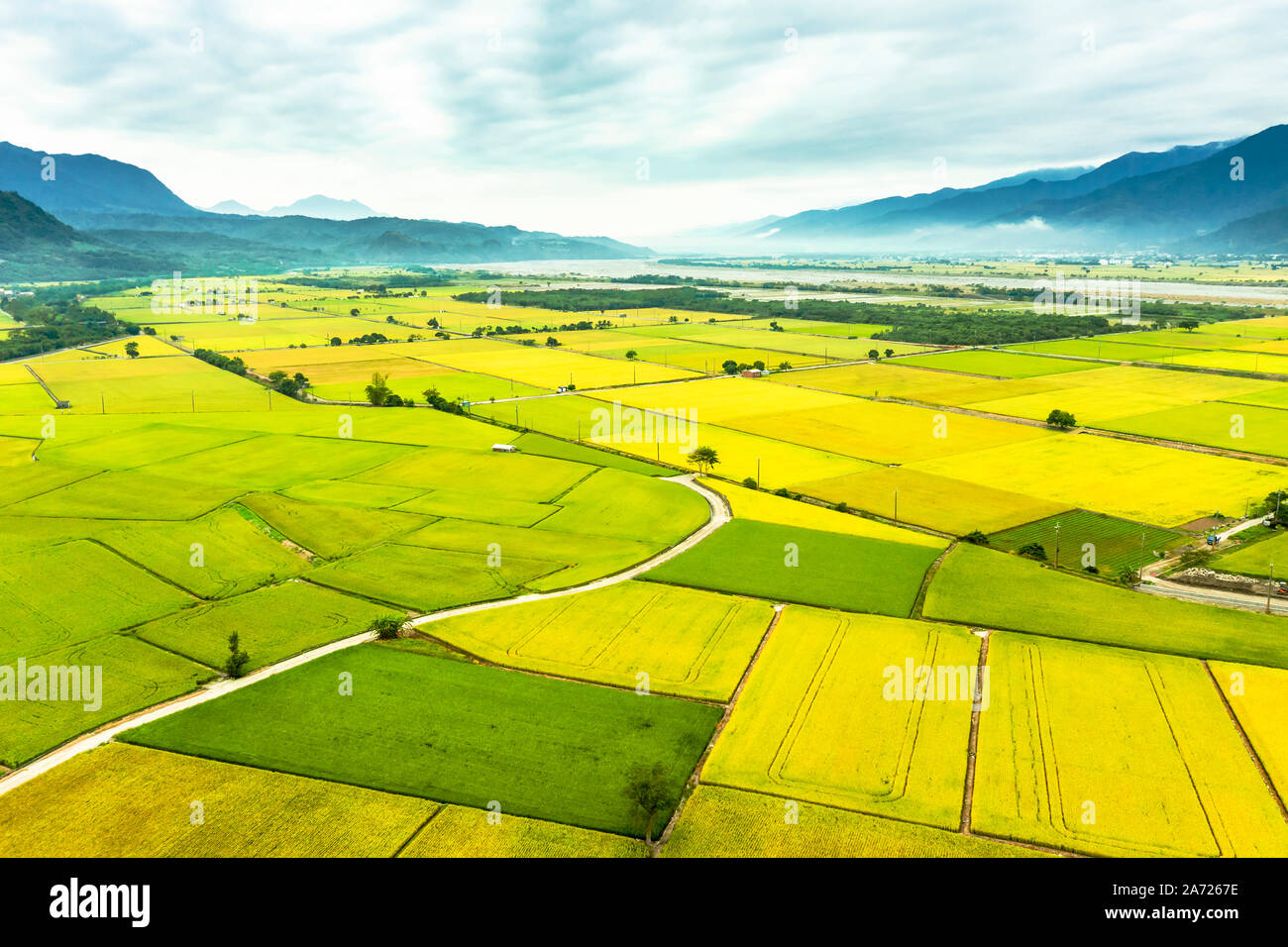 Vista aerea di bellissimi campi di riso in taitung . Taiwan. Foto Stock