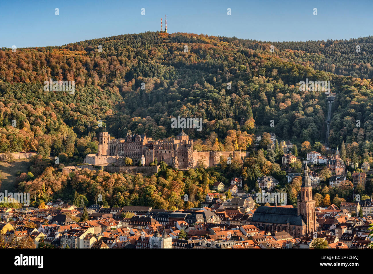 Vista di Heidelberg in tarda estate con il castello e la città vecchia Foto Stock