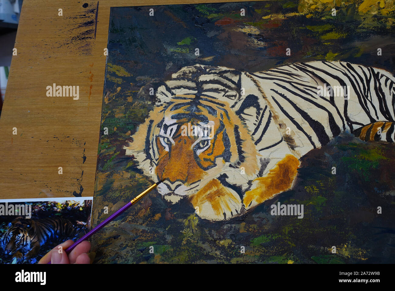 Un disegno a olio in corso di una tigre Sumatran , di Michele Domonkos, da una foto di riferimento, sempre dello stesso artista. Foto Stock
