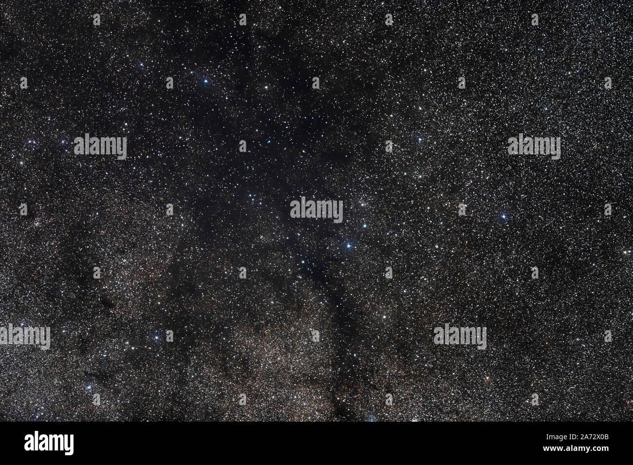 The Dark Nebula sul confine Cygnus-Cepheus soprannominato la nube ad imbuto Nebula (un nome fornito da Alan Whitman in un 2006 Sky e telescopio articolo) b Foto Stock