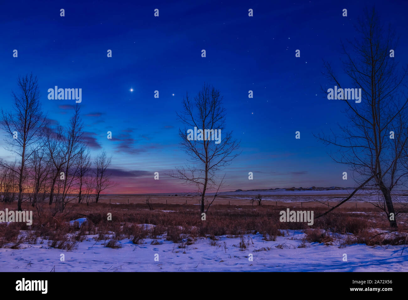 Venere (a sinistra) e Giove insieme vicino al mattino cielo e a est di scorpione, qui a destra, con rossastro Antares tra gli alberi. Questo w Foto Stock