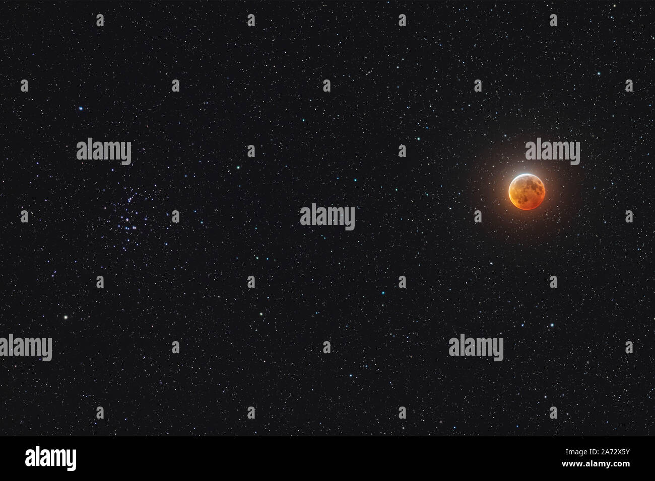 La luna a metà total eclipse, il 20 gennaio 2019, con essa risplende accanto all'Alveare star cluster, Messier 44, nel cancro. Questa è stata la visuale unica Foto Stock