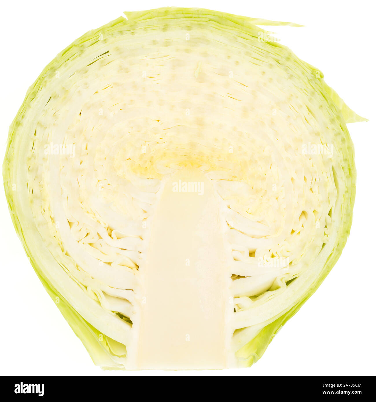 Fetta di fresco di cavolo nero Foto Stock