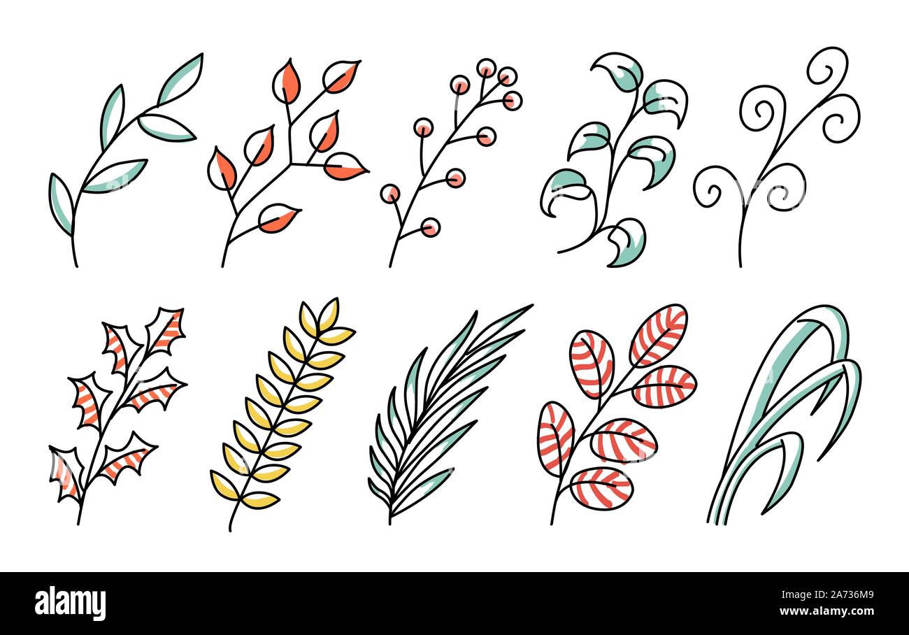 Foresta di raccolta arte felce fogliame foglie naturali erbe in stile linea. Bellezza decorativa elegante illustrazione per la progettazione di fiori di vettore Illustrazione Vettoriale