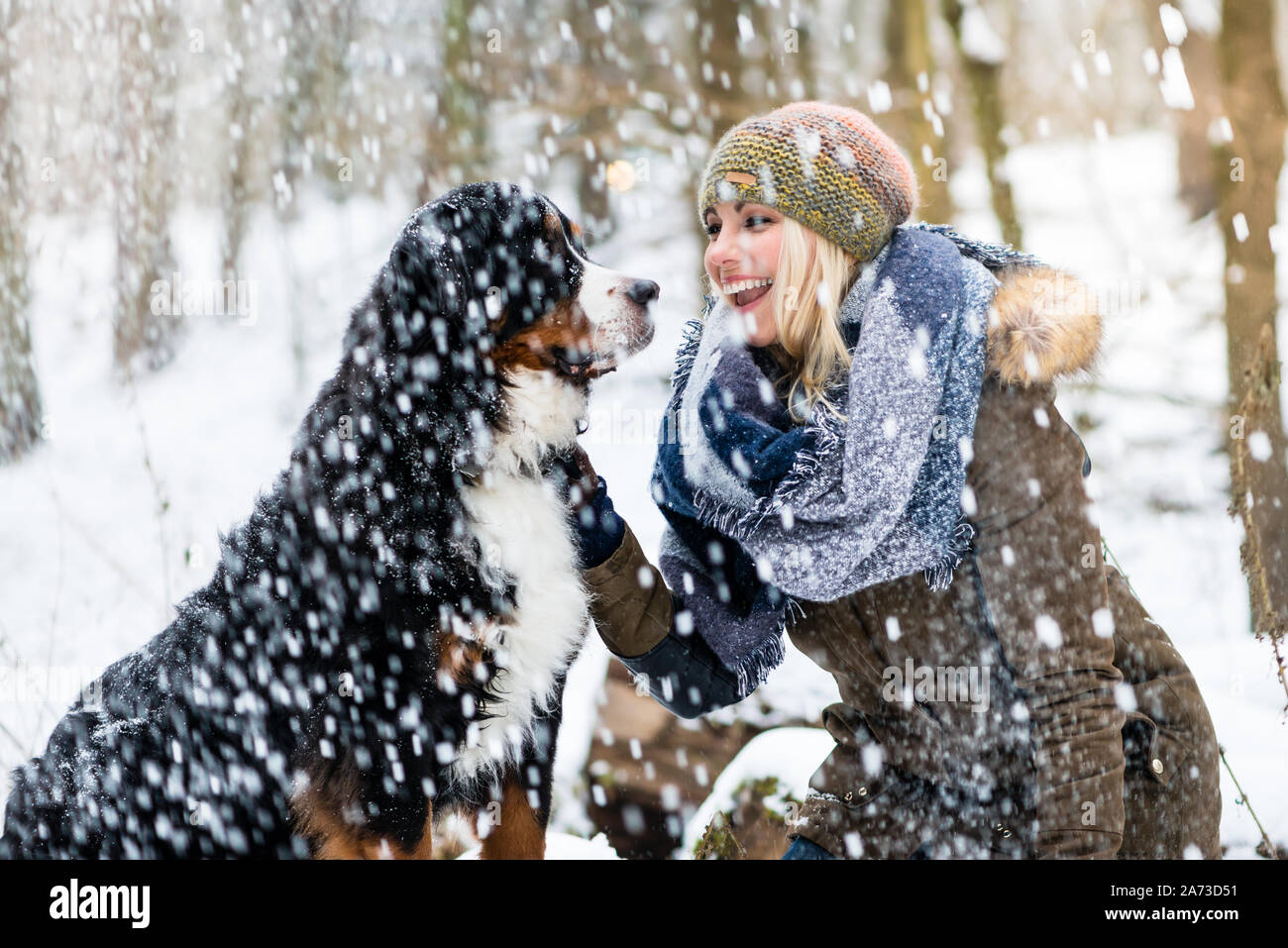 Donna che cammina il suo cane in inverno e sia esplorare la neve insieme Foto Stock