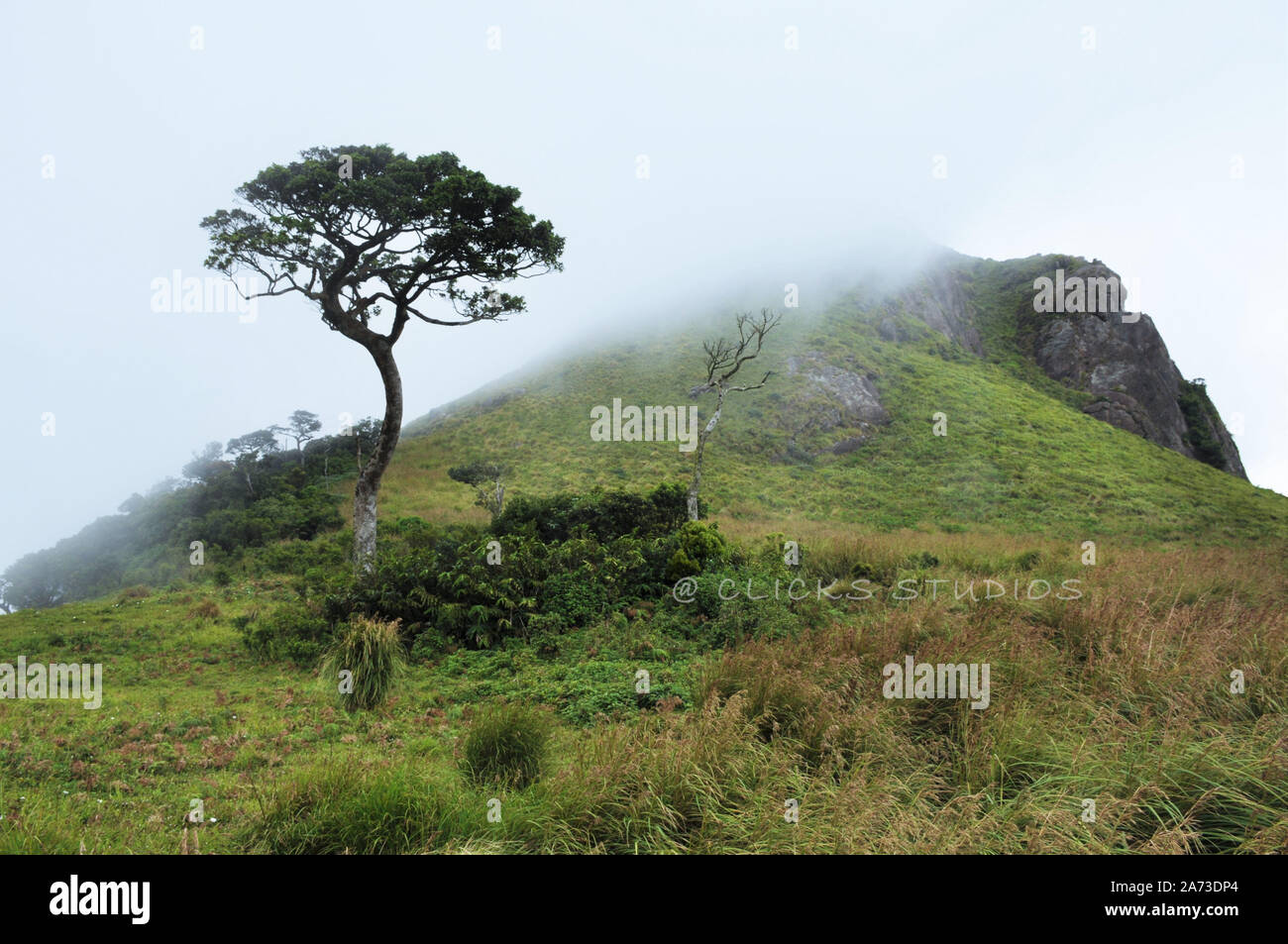 Bellezza dei ghat occidentali - i Ghats occidentali, conosciuti anche come Sahyadri (montagne benevoli), sono una catena montuosa che copre un'area di 140,000 mq Foto Stock